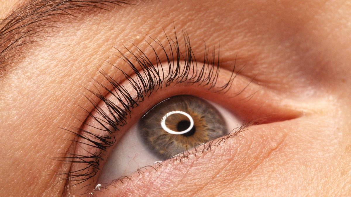Rehaussement de cils et soins du regard — institut Polymedo, Paris 17e